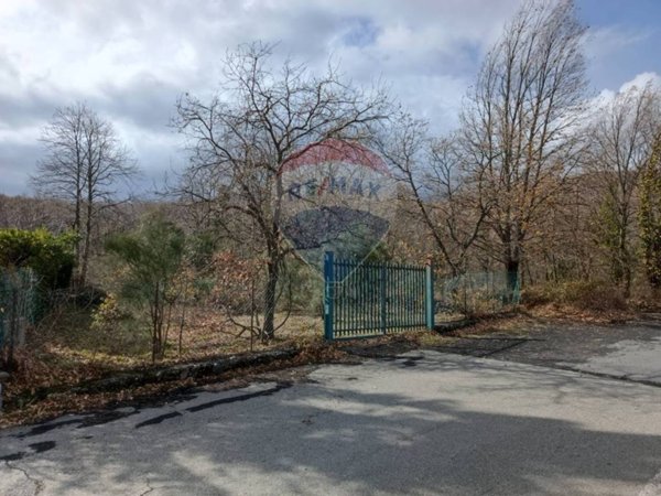 terreno agricolo in vendita a Milo