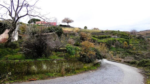 terreno agricolo in vendita a Milo