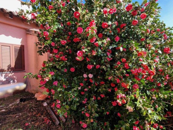 casa indipendente in vendita a Milo