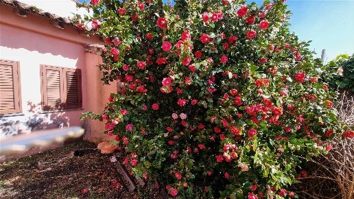 casa indipendente in vendita a Milo