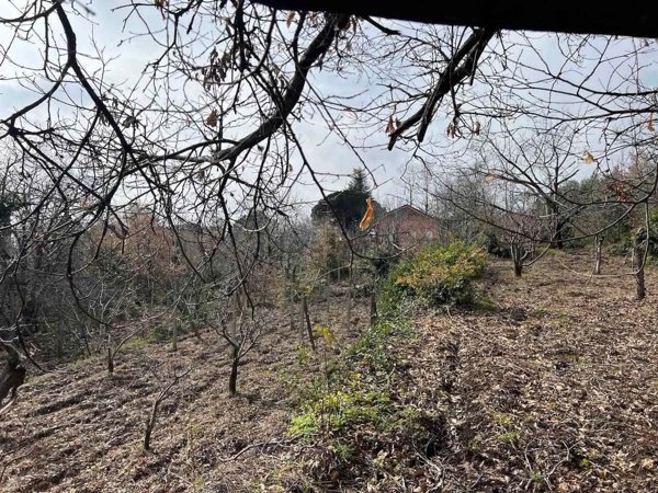 casa indipendente in vendita a Milo