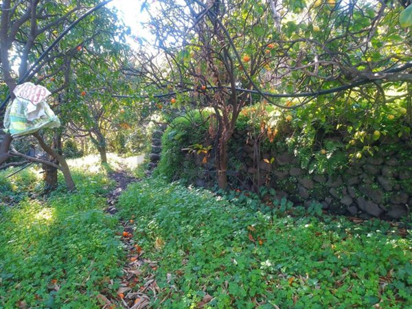 terreno agricolo in vendita a Milo
