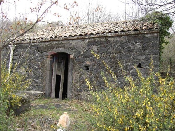 casa indipendente in vendita a Milo