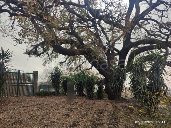 casa indipendente in vendita a Milo