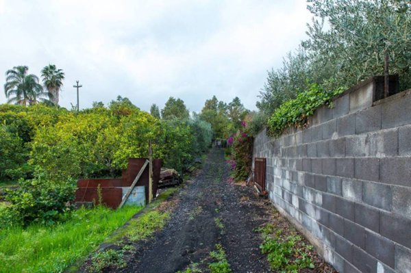 terreno agricolo in vendita a Milo