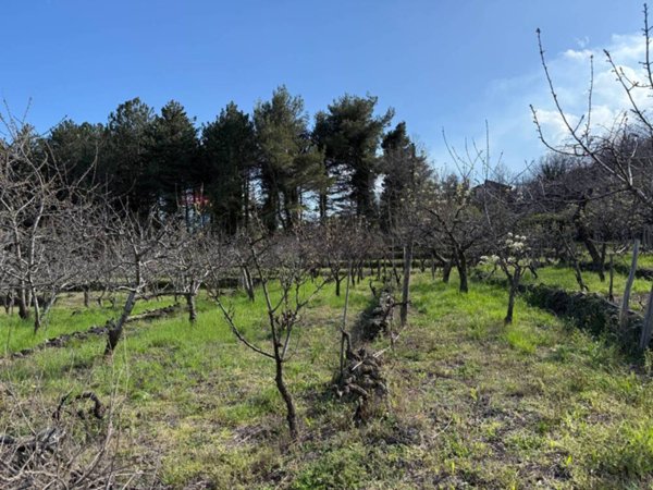 locale di sgombero in vendita a Milo