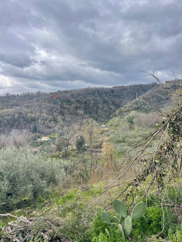 terreno agricolo in vendita a Milo