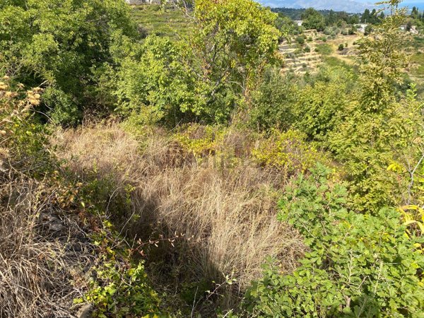terreno in vendita a Milo