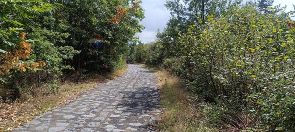 terreno in vendita a Milo