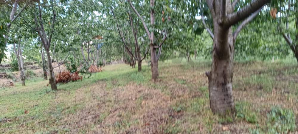 terreno in vendita a Milo