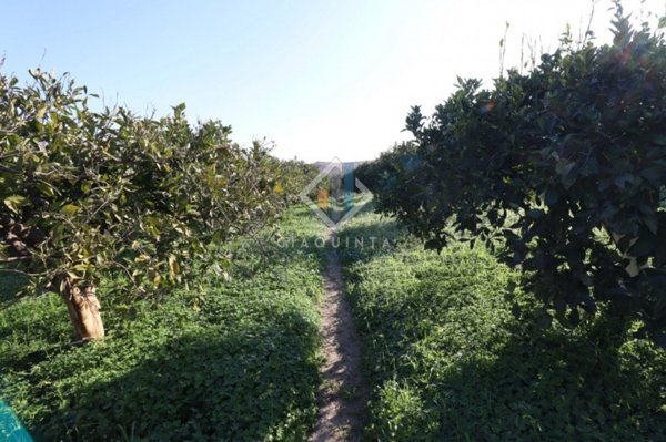 terreno agricolo in vendita a Mineo