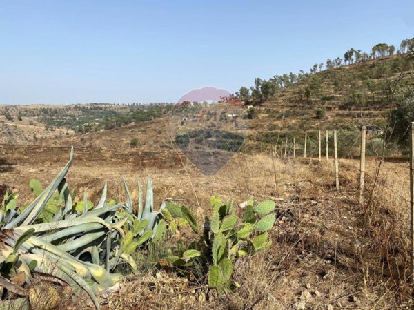 terreno agricolo in vendita a Mineo