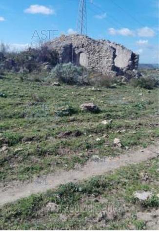 terreno agricolo in vendita a Mineo