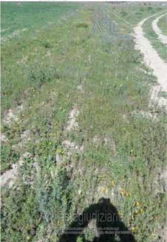 terreno agricolo in vendita a Mineo