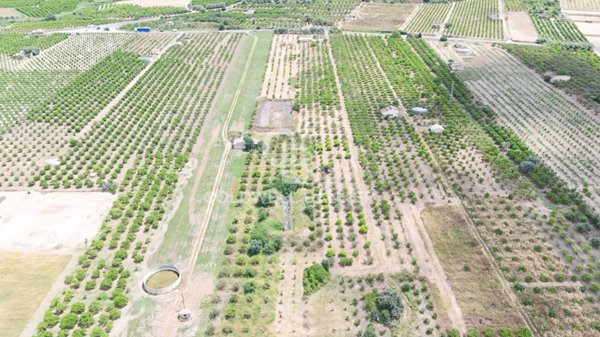 terreno agricolo in vendita a Mineo