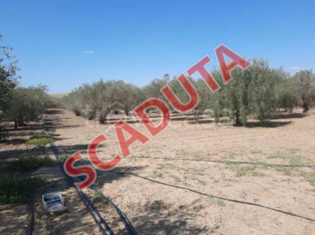 appartamento in vendita a Mineo