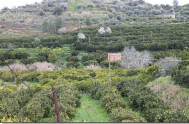 terreno agricolo in vendita a Mineo