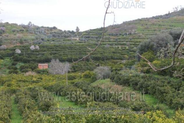 terreno agricolo in vendita a Mineo