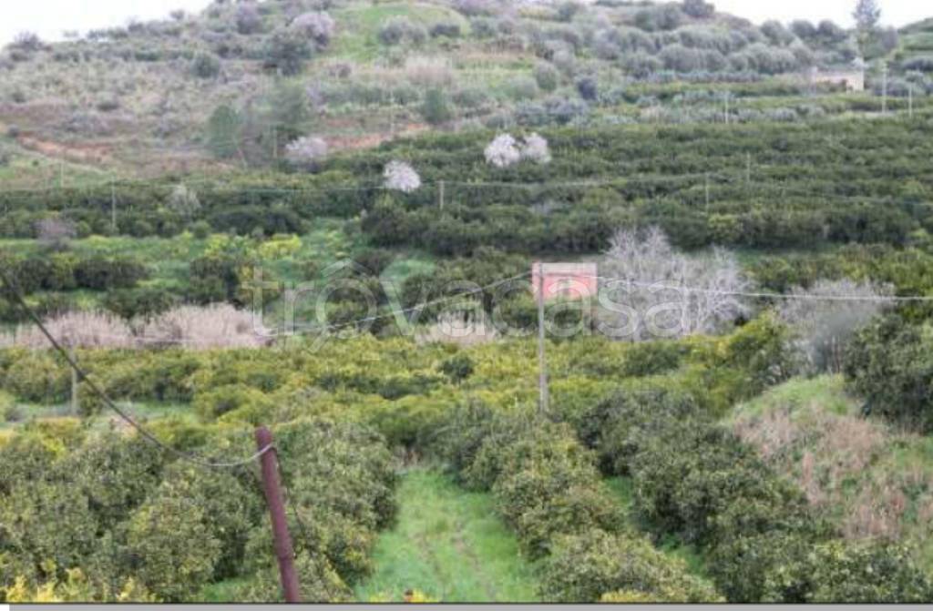 terreno agricolo in vendita a Mineo