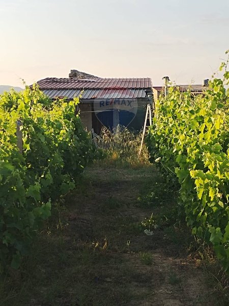 casa indipendente in vendita a Mineo