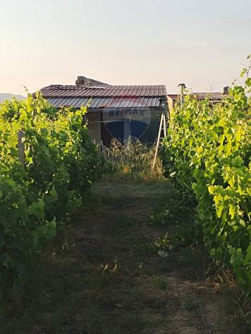casa indipendente in vendita a Mineo
