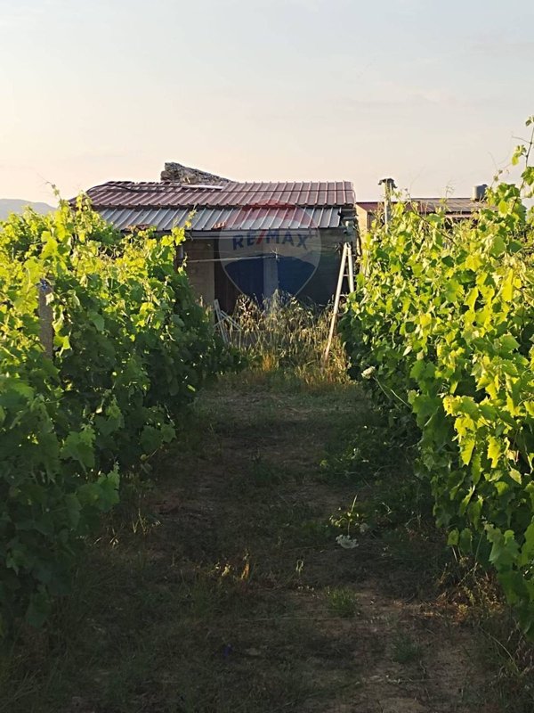 appartamento in vendita a Mineo
