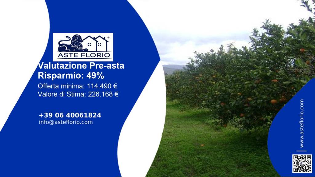 terreno agricolo in vendita a Mineo