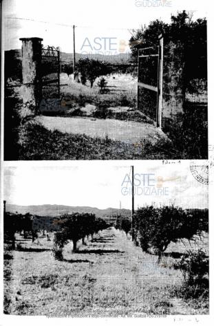 terreno agricolo in vendita a Mineo