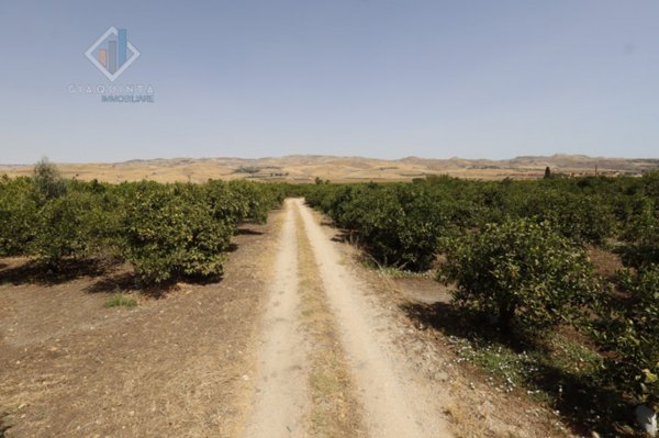 terreno agricolo in vendita a Mineo