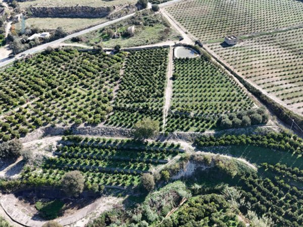 terreno agricolo in vendita a Mineo