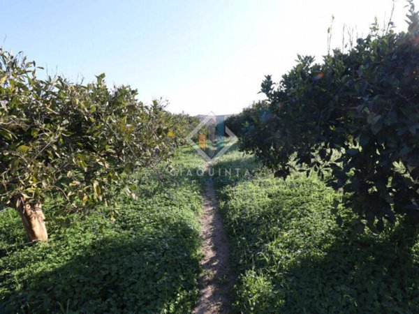terreno agricolo in vendita a Mineo