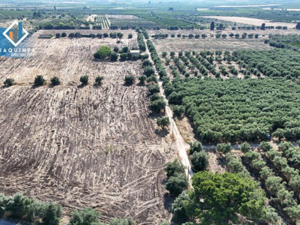 terreno agricolo in vendita a Mineo