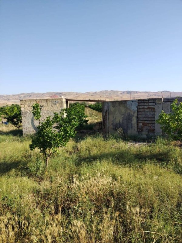 terreno agricolo in vendita a Mineo