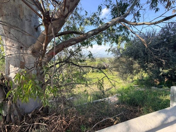 rudere in vendita a Mineo