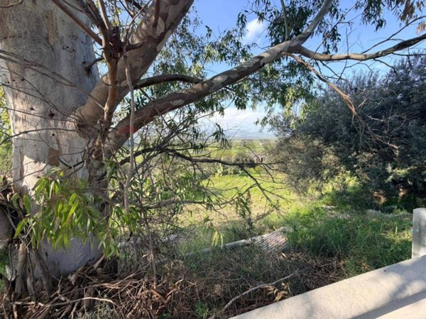terreno agricolo in vendita a Mineo