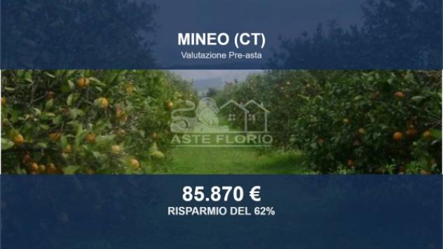 villa in vendita a Mineo