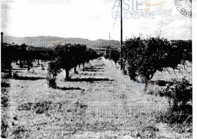 terreno agricolo in vendita a Mineo