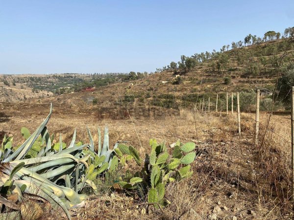 terreno in vendita a Mineo