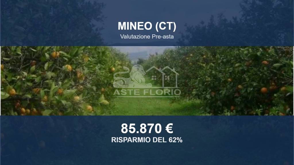 terreno agricolo in vendita a Mineo