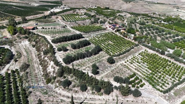 terreno in vendita a Mineo