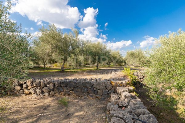 terreno agricolo in vendita a Misterbianco
