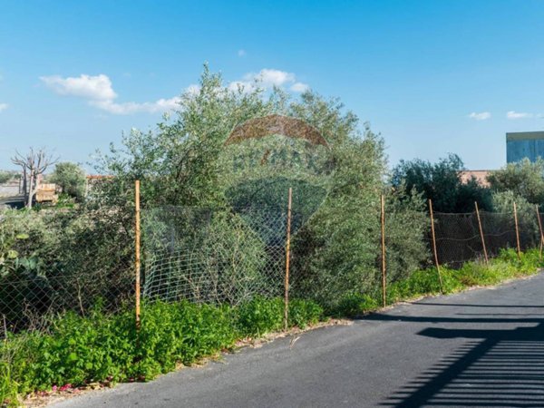 terreno agricolo in vendita a Misterbianco