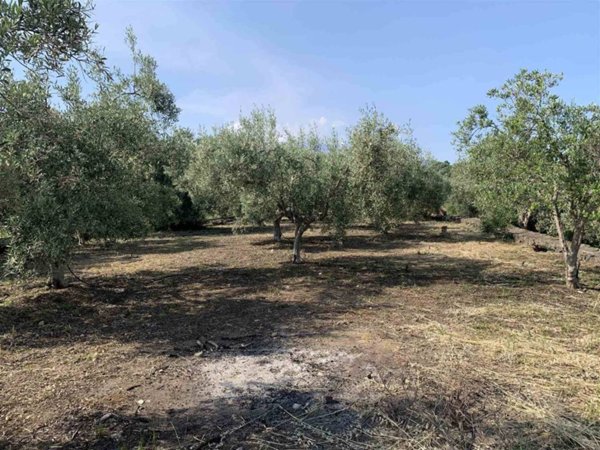 terreno agricolo in vendita a Misterbianco