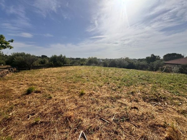 terreno agricolo in vendita a Misterbianco