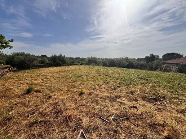 terreno agricolo in vendita a Misterbianco