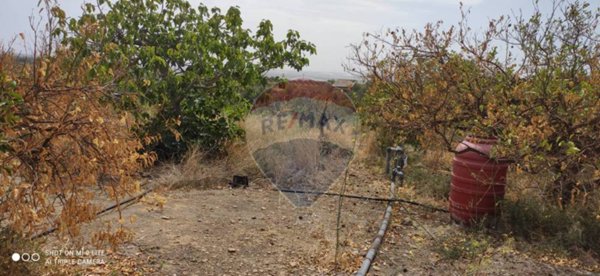 terreno agricolo in vendita a Misterbianco in zona Centro Città