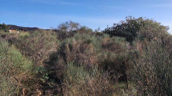 terreno agricolo in vendita a Misterbianco