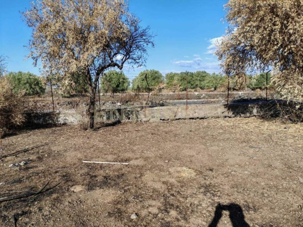 terreno agricolo in vendita a Misterbianco