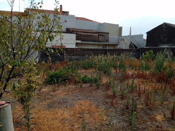 terreno edificabile in vendita a Misterbianco in zona Centro Città
