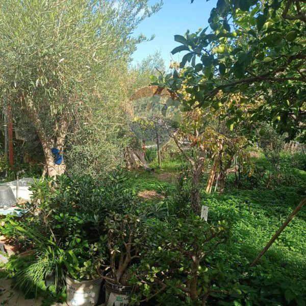 terreno agricolo in vendita a Misterbianco in zona Poggio Lupo